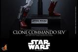 07-Star-Wars-The-Clone-Wars-Television-Masterpiece-Figura-16-Clone-Commando-Sev.jpg