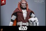 11-Star-Wars-The-Clone-Wars-Television-Masterpiece-Figura-16-Saesee-Tiin-Clone.jpg