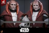 17-Star-Wars-The-Clone-Wars-Television-Masterpiece-Figura-16-Saesee-Tiin-Clone.jpg
