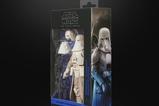 10-star-wars-the-mandalorian--grogu-black-series-figura-imperial-remnant-snowtr.jpg