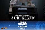 04-Star-Wars-The-Mandalorian--Grogu-Movie-Masterpiece-Figura-16-Imperial-Remna.jpg