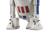 02-Star-Wars-The-Mandalorian-Black-Series-Figura-R5D4-15-cm.jpg