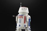 05-Star-Wars-The-Mandalorian-Black-Series-Figura-R5D4-15-cm.jpg