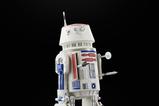 10-Star-Wars-The-Mandalorian-Black-Series-Figura-R5D4-15-cm.jpg