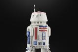 14-Star-Wars-The-Mandalorian-Black-Series-Figura-R5D4-15-cm.jpg