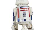 16-Star-Wars-The-Mandalorian-Black-Series-Pack-de-4-Figuras-R5D4,-BD72--Pit-D.jpg