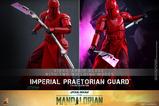 02-Star-Wars-The-Mandalorian-Figura-16-Imperial-Praetorian-Guard-30-cm.jpg