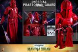 04-Star-Wars-The-Mandalorian-Figura-16-Imperial-Praetorian-Guard-30-cm.jpg