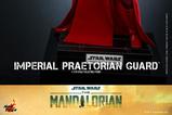 08-Star-Wars-The-Mandalorian-Figura-16-Imperial-Praetorian-Guard-30-cm.jpg