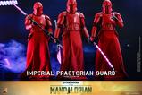 09-Star-Wars-The-Mandalorian-Figura-16-Imperial-Praetorian-Guard-30-cm.jpg