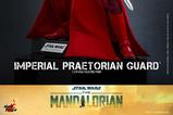 10-Star-Wars-The-Mandalorian-Figura-16-Imperial-Praetorian-Guard-30-cm.jpg