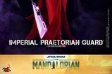 11-Star-Wars-The-Mandalorian-Figura-16-Imperial-Praetorian-Guard-30-cm.jpg