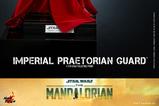 13-Star-Wars-The-Mandalorian-Figura-16-Imperial-Praetorian-Guard-30-cm.jpg