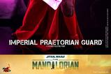 16-Star-Wars-The-Mandalorian-Figura-16-Imperial-Praetorian-Guard-30-cm.jpg