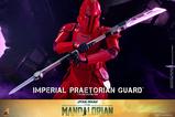 18-Star-Wars-The-Mandalorian-Figura-16-Imperial-Praetorian-Guard-30-cm.jpg