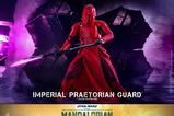 19-Star-Wars-The-Mandalorian-Figura-16-Imperial-Praetorian-Guard-30-cm.jpg