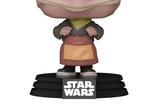 01-Star-Wars-The-Mandalorian-POP-Vinyl-Figura-Frog-Lady-9-cm.jpg