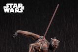 01-star-wars-the-phantom-menace-estatua-pvc-artfx-17-darth-maul-nightbrother-30.jpg