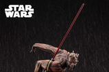 05-star-wars-the-phantom-menace-estatua-pvc-artfx-17-darth-maul-nightbrother-30.jpg