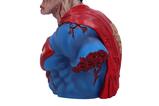 02-Superman-Busto-DCeased-30-cm.jpg