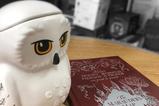 05-Taza-3D-Hedwig.jpg