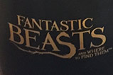 02-Taza-de-viaje-Macusa-Animales-Fantasticos.jpg