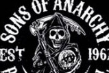 02-Taza-Sons-of-Anarchy-Redwood-Original.jpg