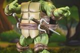 06-Teenage-Mutant-Ninja-Turtles-x-Usagi-Yojimbo-Ultimate-Figura-Raphael-18-cm.jpg