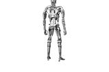11-Terminator-2-Figura-MAFEX-Endoskeleton--T2-Ver-16-cm.jpg