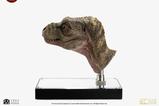 05-The-Lost-World-Jurassic-Park-Rplica-11-Junior-TRex-Prop-Reproduction-39-.jpg