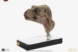 06-The-Lost-World-Jurassic-Park-Rplica-11-Junior-TRex-Prop-Reproduction-39-.jpg