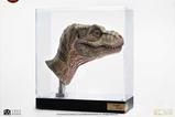 10-The-Lost-World-Jurassic-Park-Rplica-11-Junior-TRex-Prop-Reproduction-39-.jpg