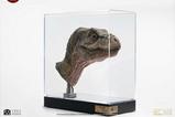11-The-Lost-World-Jurassic-Park-Rplica-11-Junior-TRex-Prop-Reproduction-39-.jpg