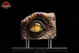 08-The-Lost-World-Jurassic-Park-Rplica-Male-Velociraptor-Eye-Prop-23-cm.jpg