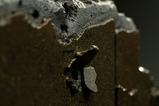 10-The-Matrix-Estatua-110-Art-Scale-Neo-25-cm.jpg