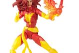 09-the-uncanny-xmen-marvel-legends-figura-dark-phoenix-15-cm.jpg