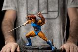 11-ThunderCats-Estatua-110-BDS-Art-Scale-LionO-Battle-Version-20-cm.jpg