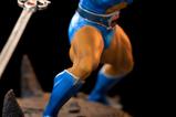 14-ThunderCats-Estatua-110-BDS-Art-Scale-LionO-Battle-Version-20-cm.jpg