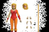 06-ThunderCats-Los-felinos-csmicos-Figura-Ultimates-Wave-6-Cheetara-Toy-Recolo.jpg