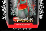 07-ThunderCats-Los-felinos-csmicos-Figura-Ultimates-Wave-6-MummRa-The-EverLiv.jpg