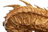 10-Triloga-de-El-hobbit-Busto-Smaug-the-Golden-36-cm.jpg
