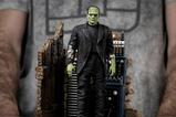 17-universal-monsters-estatua-110-deluxe-art-scale-frankenstein-monster-24-cm.jpg