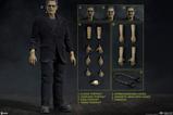 11-Universal-Monsters-Figura-16-Frankenstein-Deluxe-Plus-Edition-33-cm.jpg