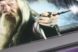 01-Varita-Albus-Dumbledore-con-Iluminacion.jpg