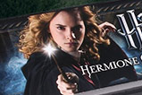 02-Varita-Hermione-Granger-con-Iluminacion.jpg