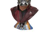 01-Vengadores-Endgame-Legends-in-3D-Busto-12-StarLord-25-cm.jpg
