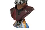 02-Vengadores-Endgame-Legends-in-3D-Busto-12-StarLord-25-cm.jpg