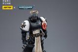 07-warhammer-40k-figura-118-black-templars-the-emperors-champion-rolantus-12-cm.jpg