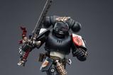 14-Warhammer-40k-Figura-118-Black-Templars-The-Emperors-Champion-Rolantus-12-cm.jpg