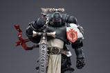 18-Warhammer-40k-Figura-118-Black-Templars-The-Emperors-Champion-Rolantus-12-cm.jpg